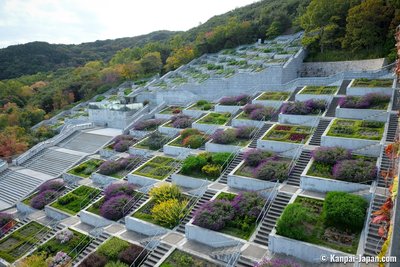 🏝️ 그림 섬 (에시마) 이미지 2